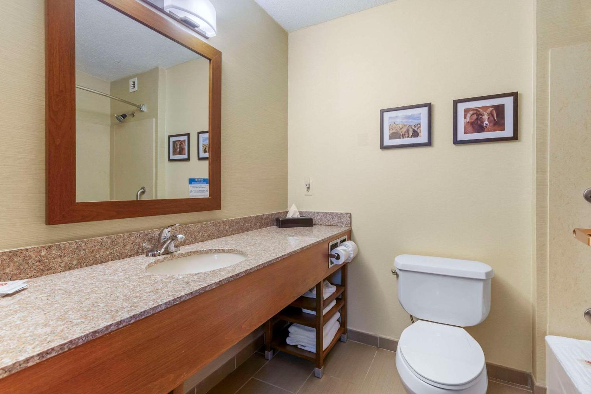 Comfort Inn & Suites Rapid City Luaran gambar